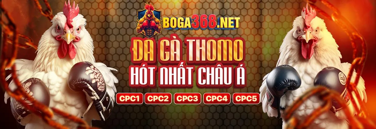 Người chơi đang phân tích chiến lược game tại OK365